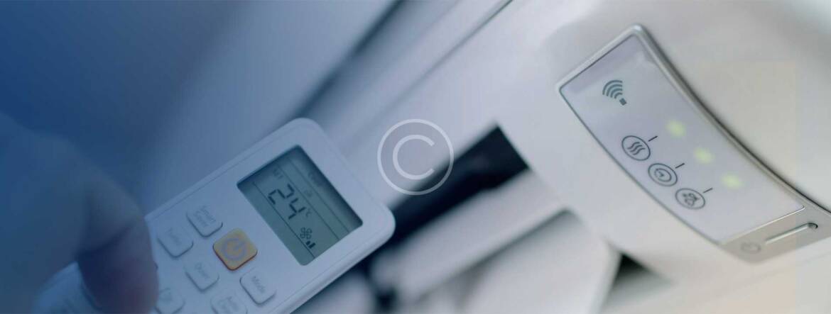 home3_slider_bg.jpg